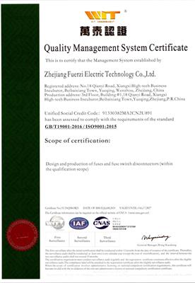 ISO 9001:2015 Quality Management Systems