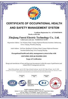 ISO 45001:2018 Occupational Health and Safety Management Systems Certification